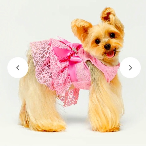 NWT GIRL DOG DRESS - Picture 1 of 10